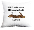 Kissenhülle Langhaardackel